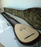 TN_Sellas_studentTheorbo_Frontincase.jpg